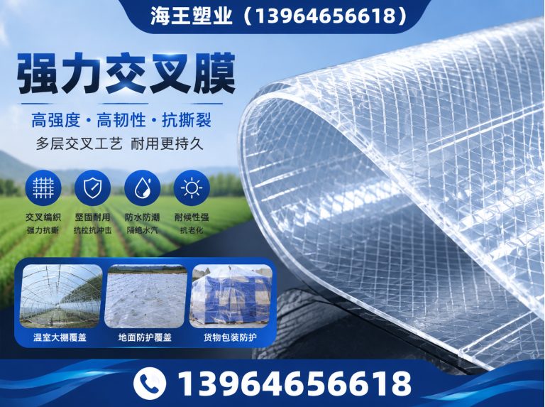潍城区聚酯胎展示图
